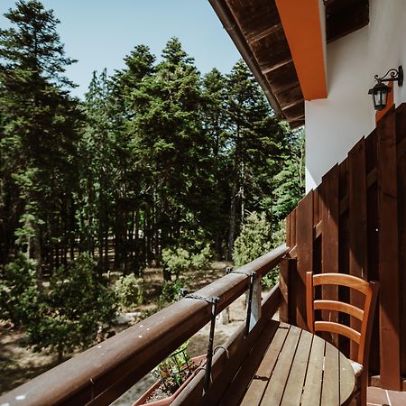 Vallicciola Nature Hotel 템피오파우사니아 외부 사진
