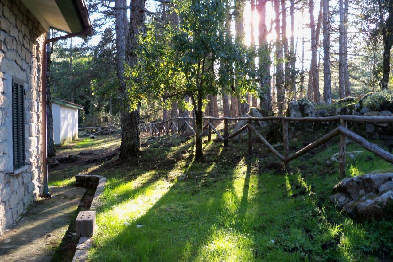 Vallicciola Nature Hotel 템피오파우사니아 외부 사진