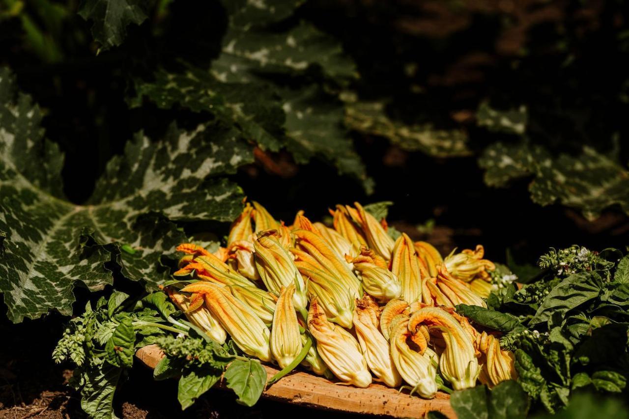 Vallicciola Nature Hotel 템피오파우사니아 외부 사진