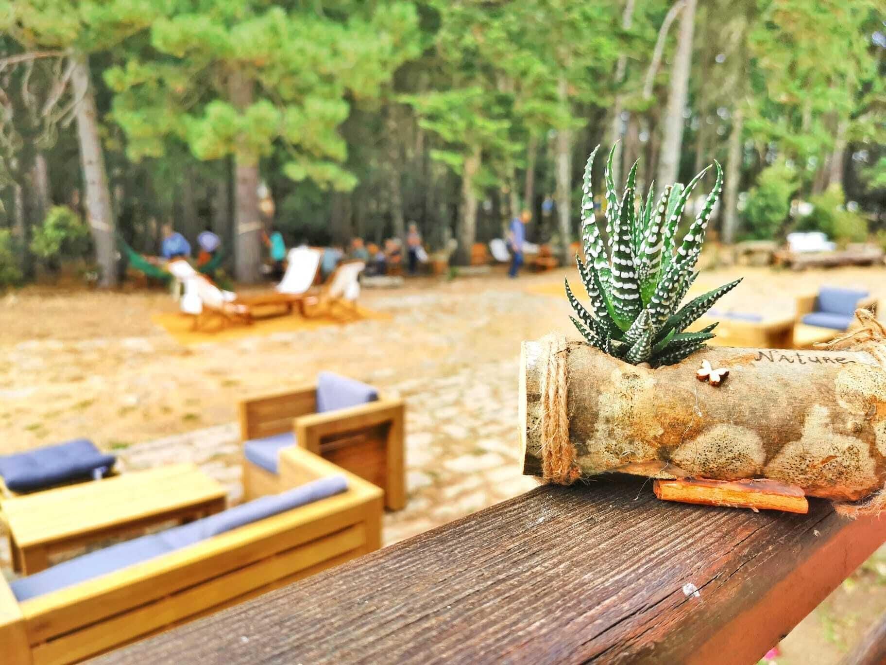 Vallicciola Nature Hotel 템피오파우사니아 외부 사진