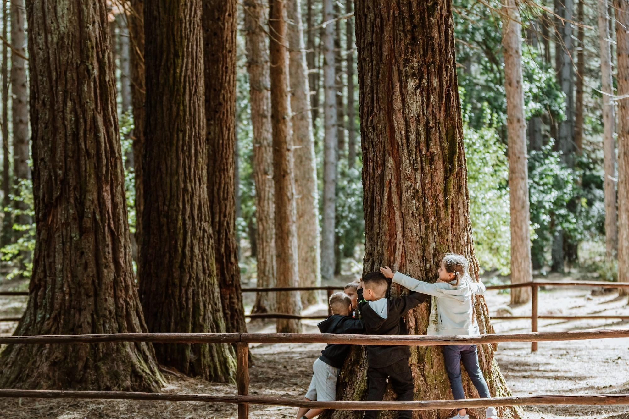 Vallicciola Nature Hotel 템피오파우사니아 외부 사진